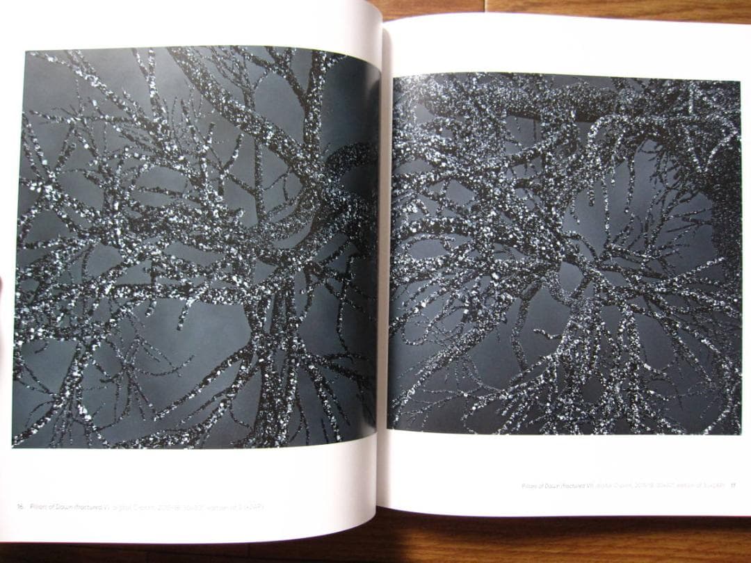 Kelly Richardson　Pillars of Dawn