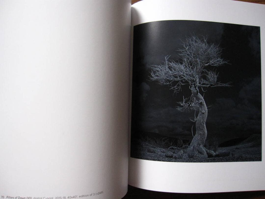 Kelly Richardson　Pillars of Dawn