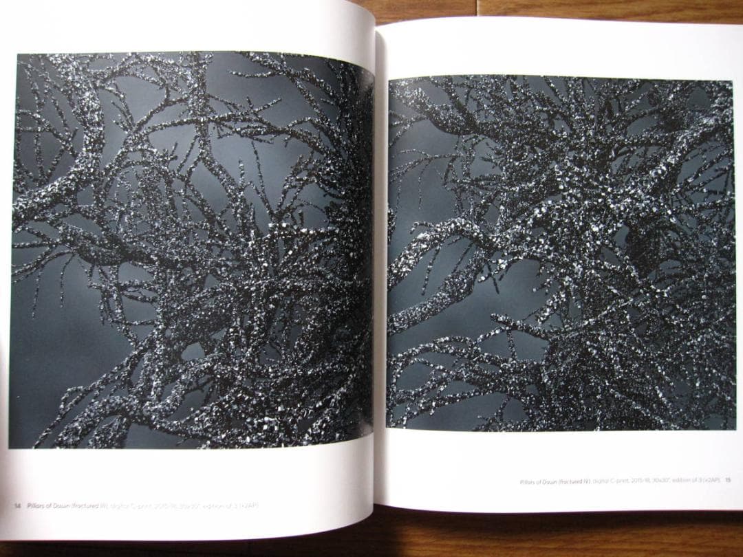 Kelly Richardson　Pillars of Dawn