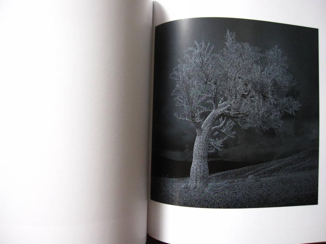 Kelly Richardson　Pillars of Dawn