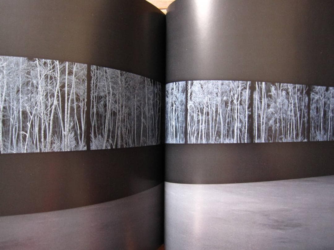 Kelly Richardson　Pillars of Dawn