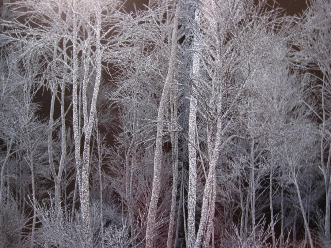 Kelly Richardson　Pillars of Dawn