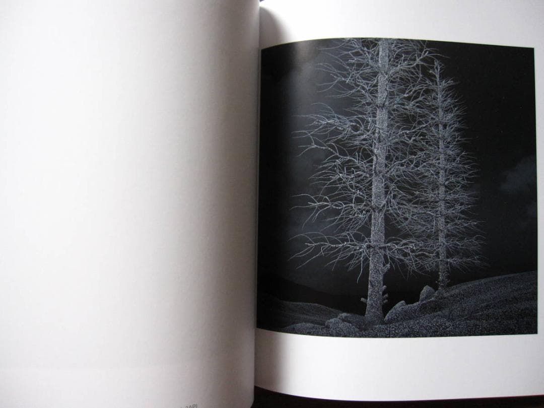 Kelly Richardson　Pillars of Dawn