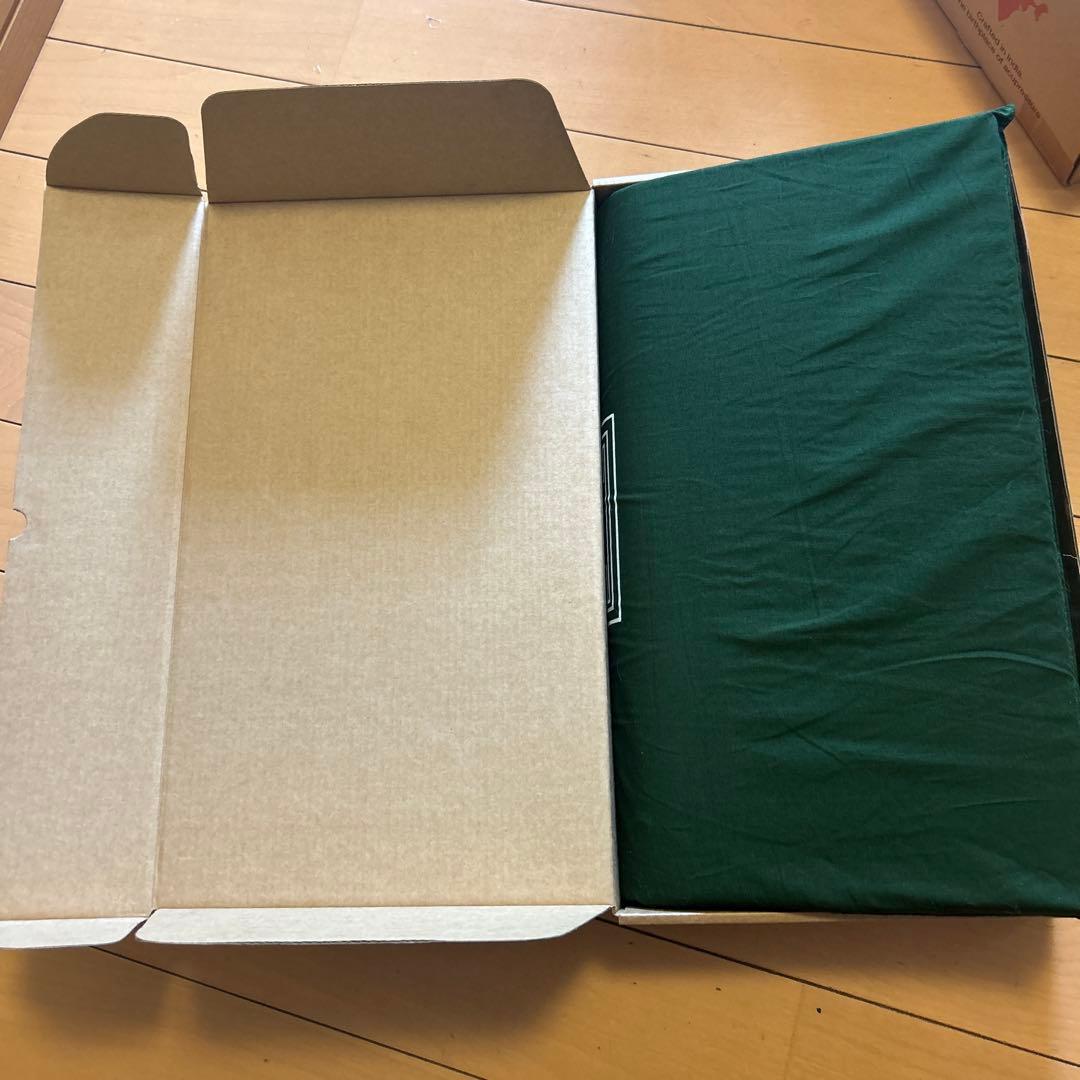 【正規品】シャクティマット&ピロー グリーン