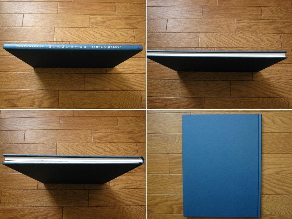 アート・デザイン・音楽 Murmuring Hanna Hedman & Sanna Lindberg