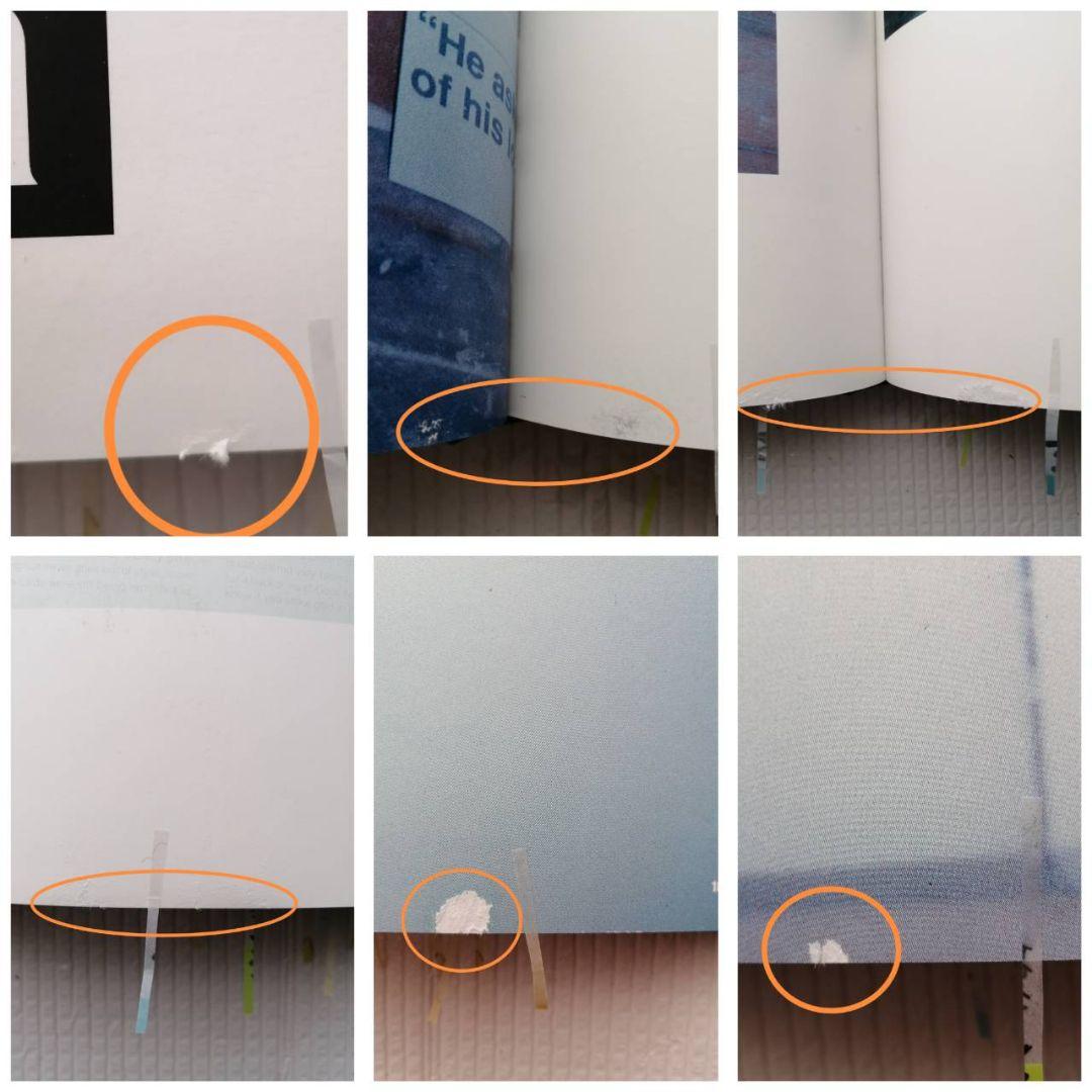 リチャード・プリンス写真集 アダルト コメディ アクション ドラマ