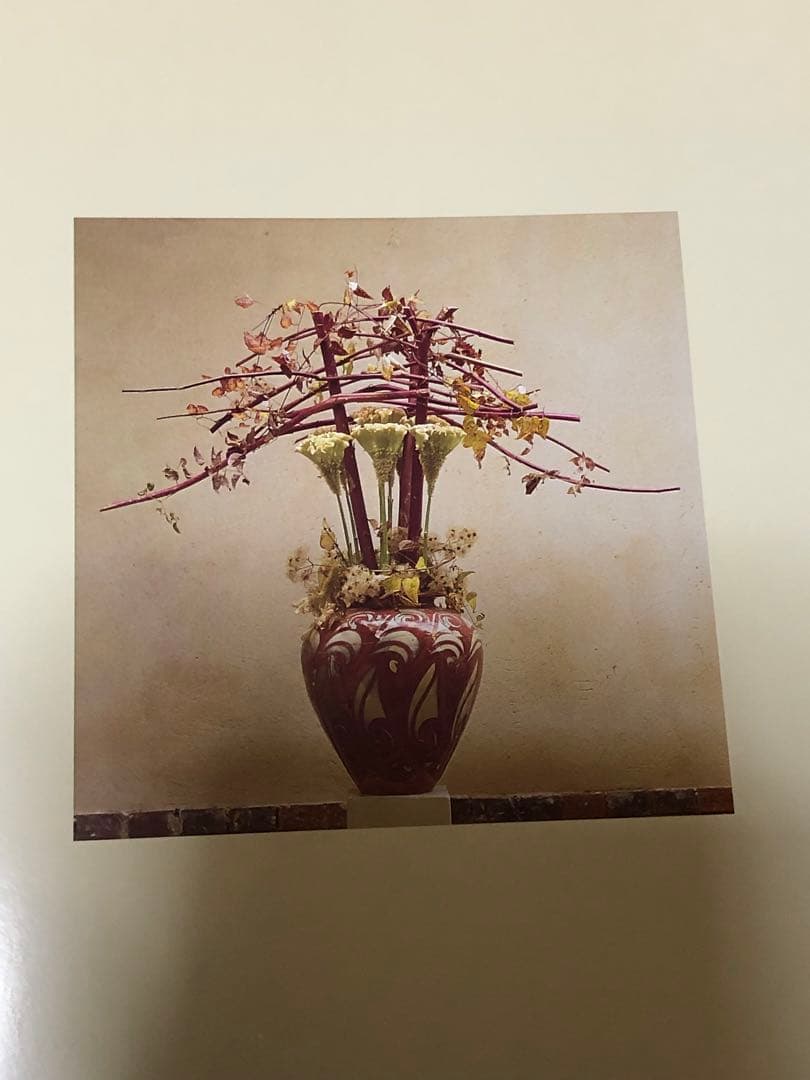 DANIEL OST ダニエル・オスト　フラワーアート豪華写真集　美しい写真満載