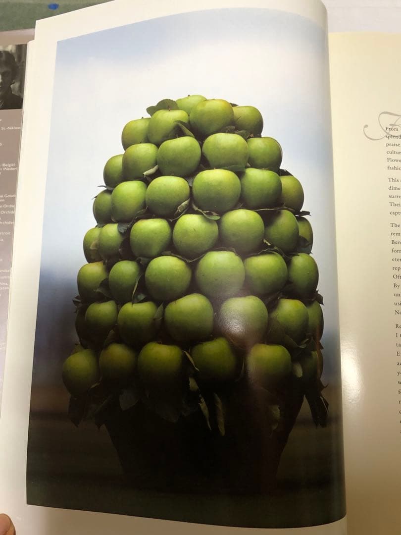 DANIEL OST ダニエル・オスト　フラワーアート豪華写真集　美しい写真満載