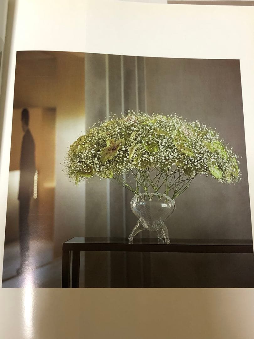 DANIEL OST ダニエル・オスト　フラワーアート豪華写真集　美しい写真満載