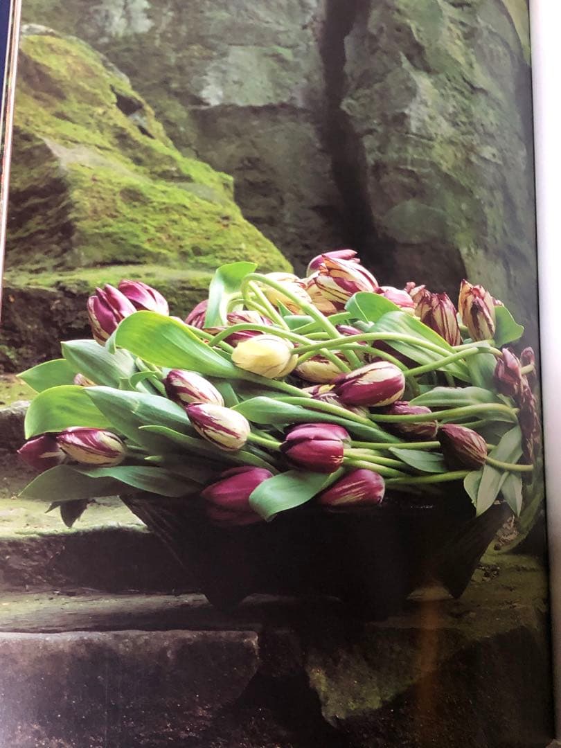 DANIEL OST ダニエル・オスト　フラワーアート豪華写真集　美しい写真満載