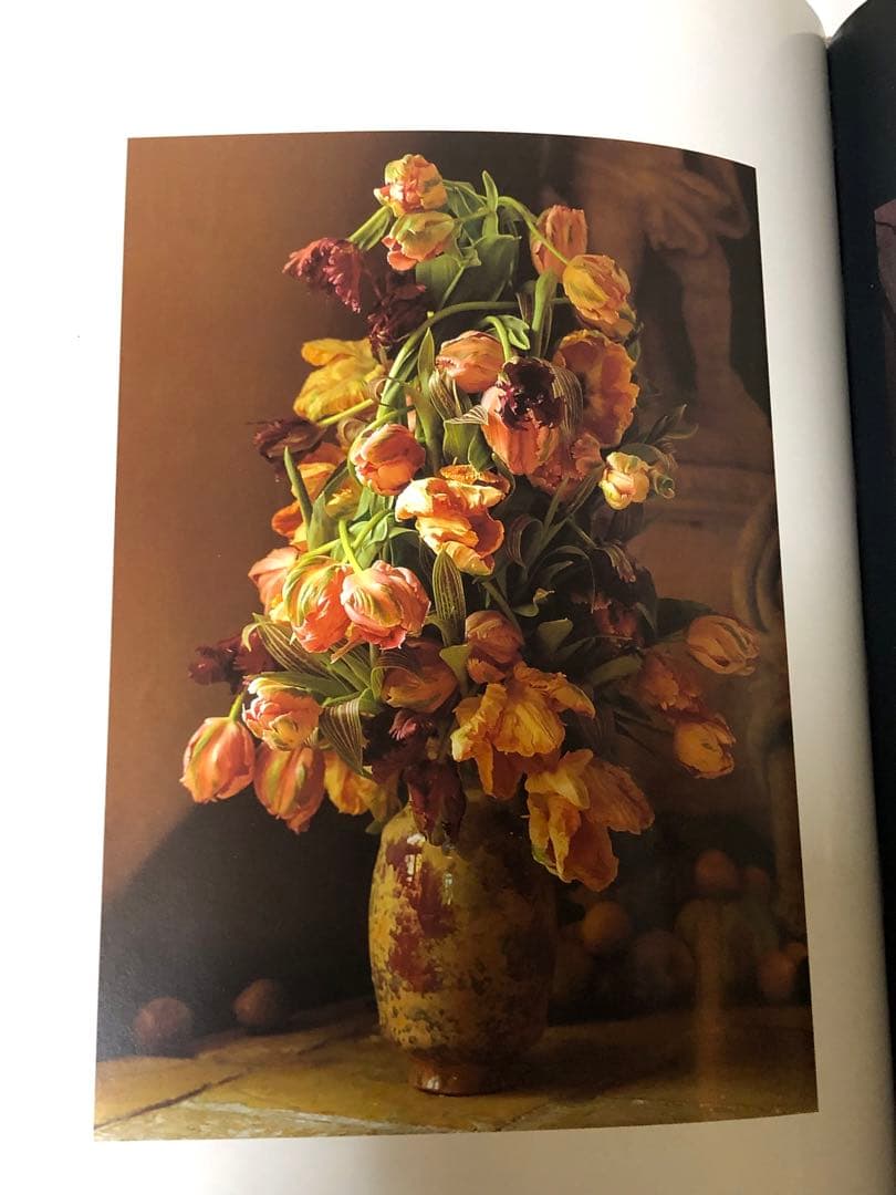 DANIEL OST ダニエル・オスト　フラワーアート豪華写真集　美しい写真満載