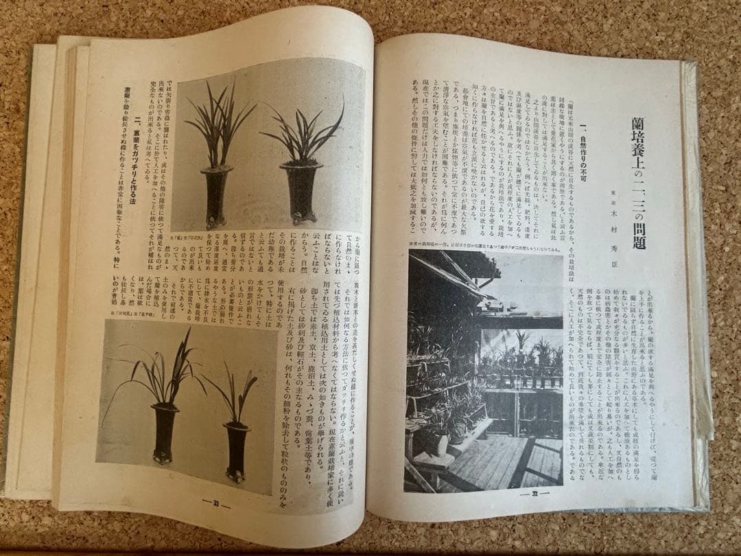 東洋蘭と西洋蘭　実際園芸叢書　第十四編