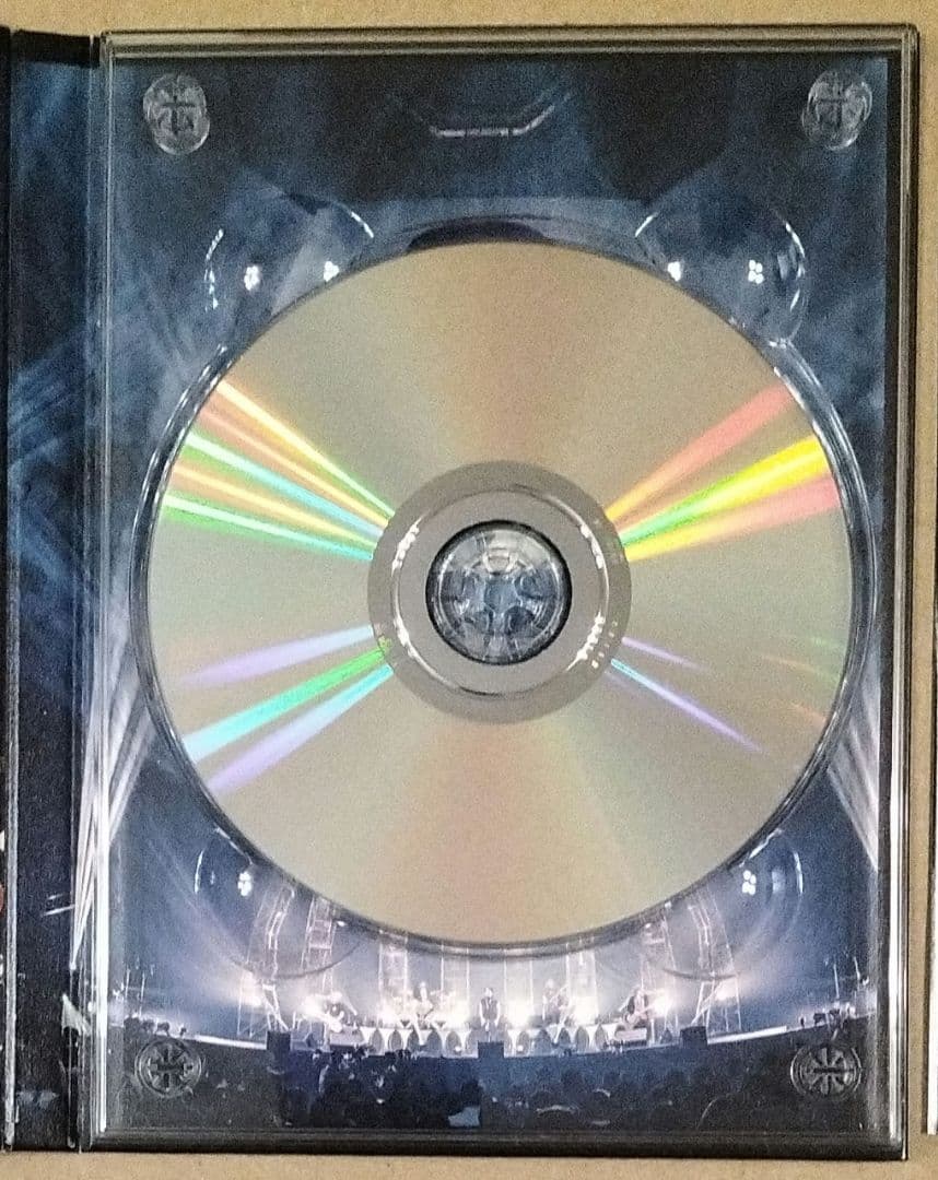 THE DAY IN QUESTION 2017 完全生産限定盤 DVDバクチク