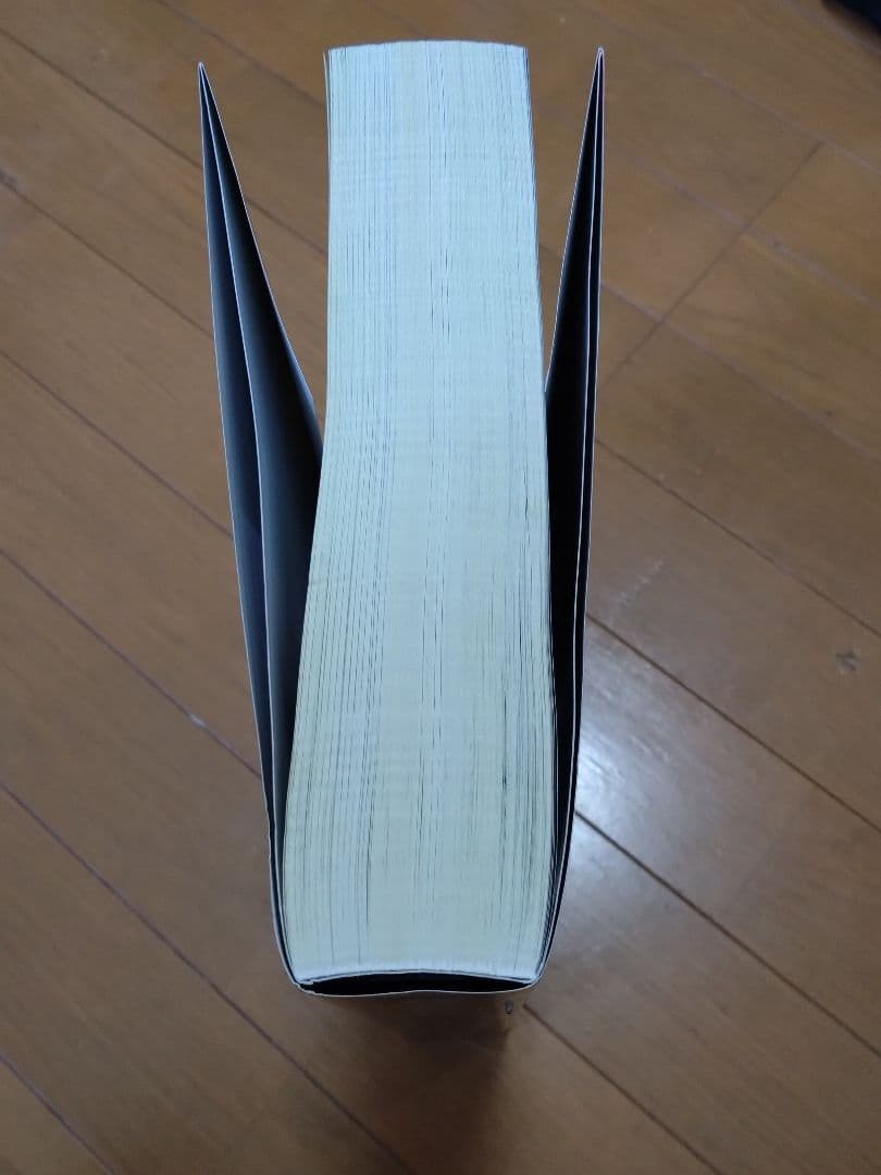 ゼルダの伝説 ティアーズ オブ ザ キングダム