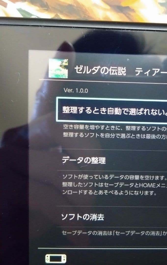 ゼルダの伝説 ティアーズ オブ ザ キングダム