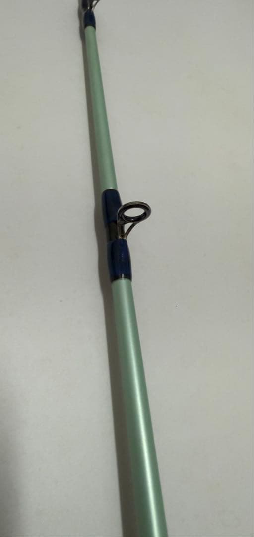 【2/22誕生日セール】 PALMS CORAL STAR CGJ-7016i