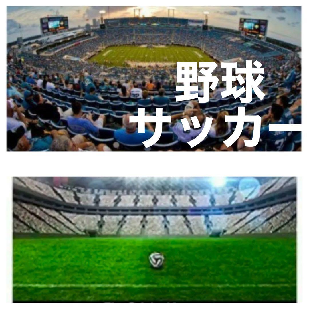 早い者勝ちSONYミラーレス対応！ズームレンズ！カメラ初心者でも安心サポート付！