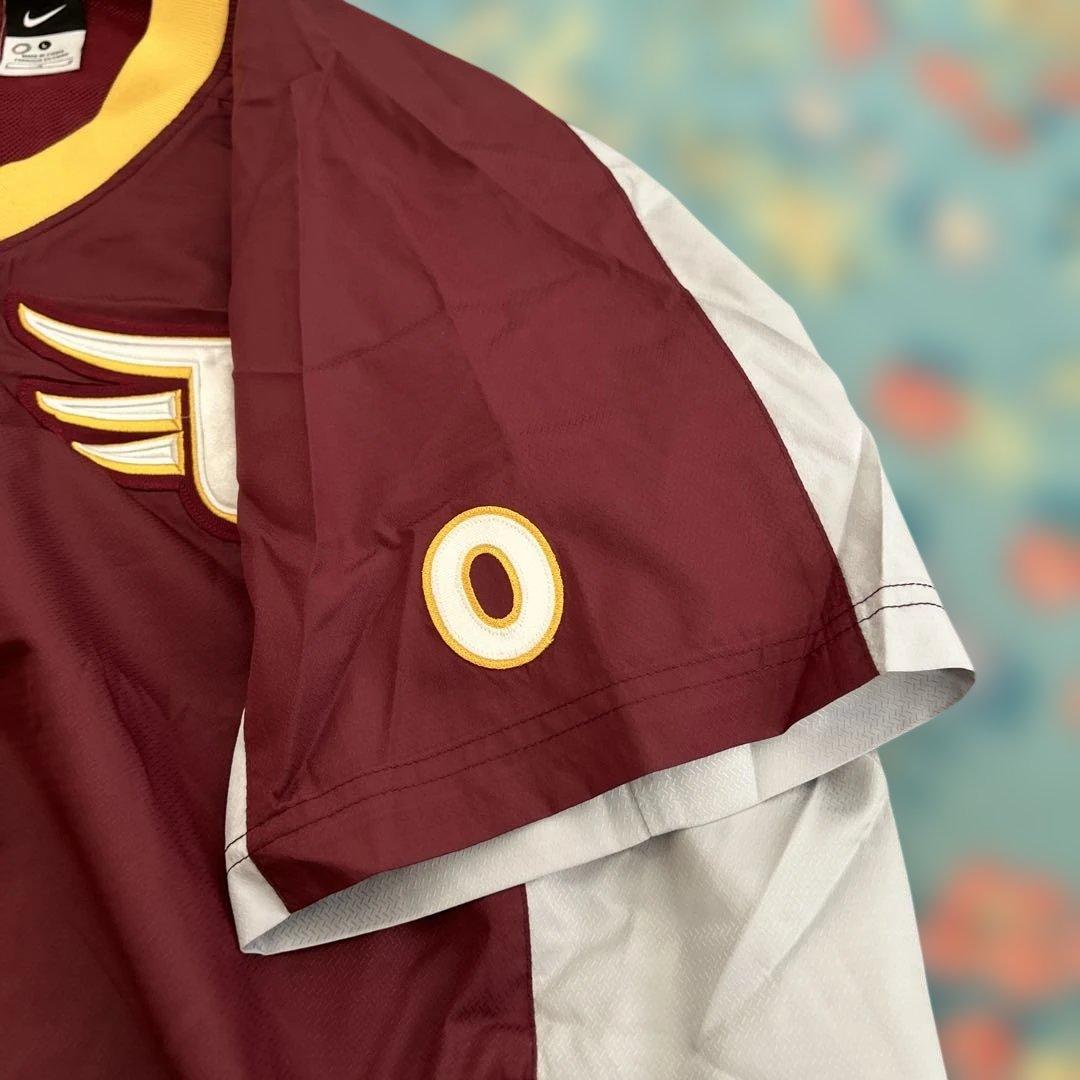 東北楽天ゴールデンイーグルスNike Vジャン