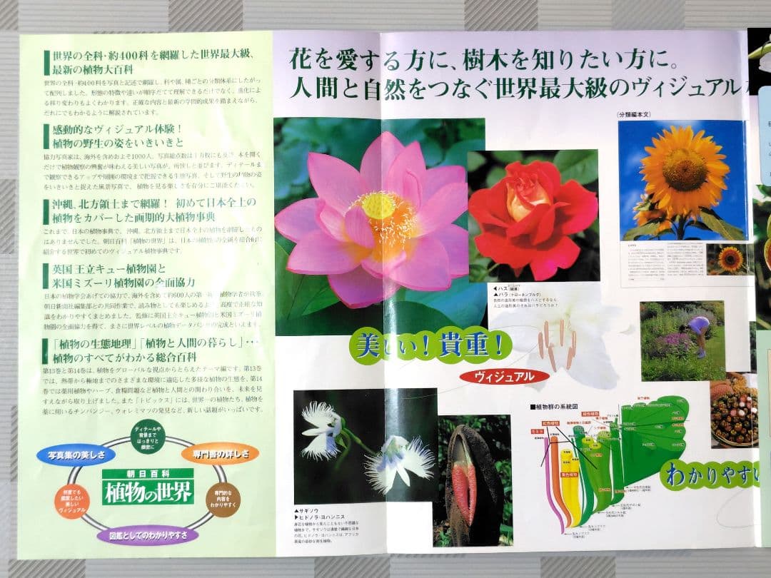 朝日百科　植物の世界　上製本　全15巻　本巻14冊＋総索引・総目次1冊