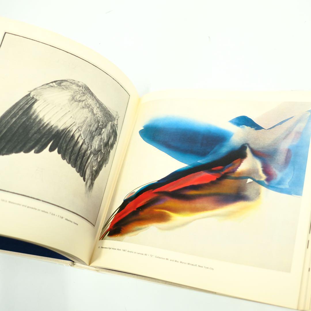 PAUL JENKINS ABRAMS ELSEN 洋書　画集　作品集　初版