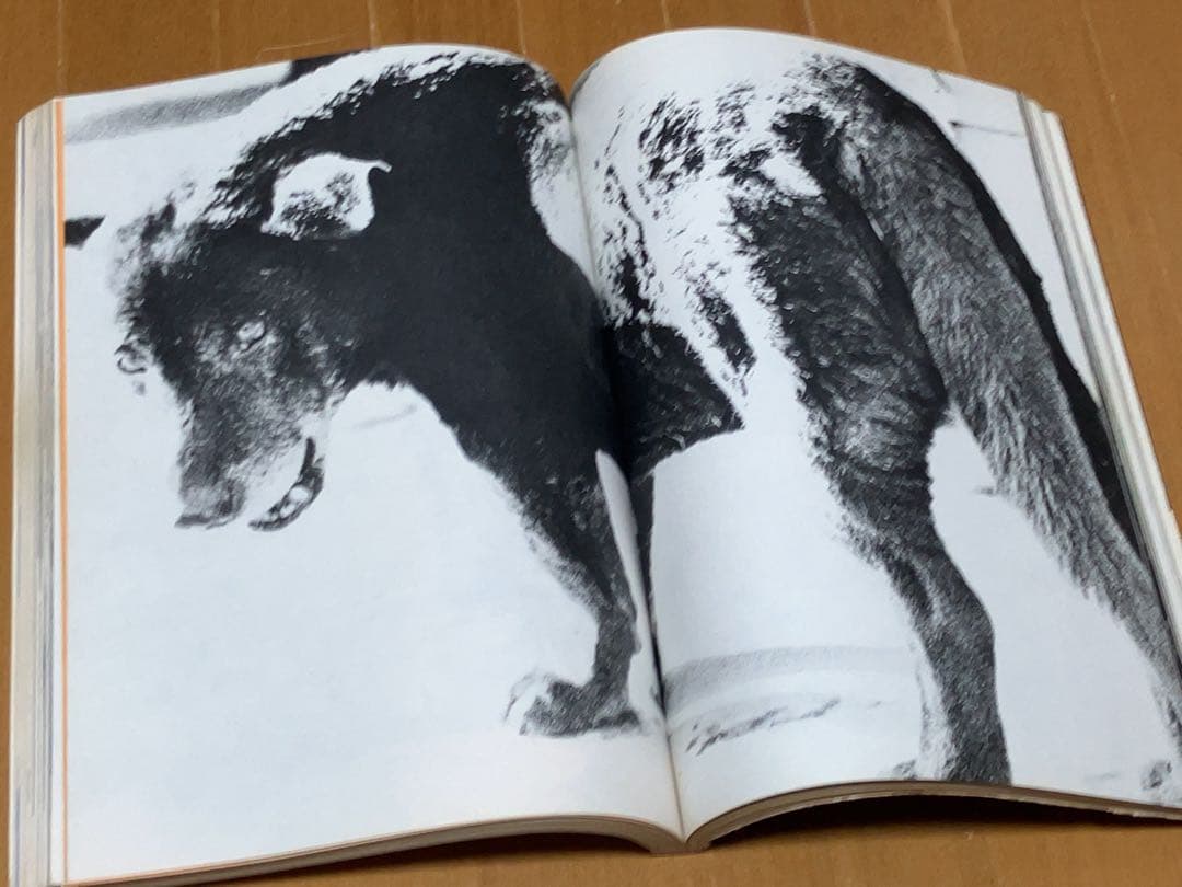 雑誌「アサヒカメラ」1971年3月号　森山大道「何かへの旅・犬の町」