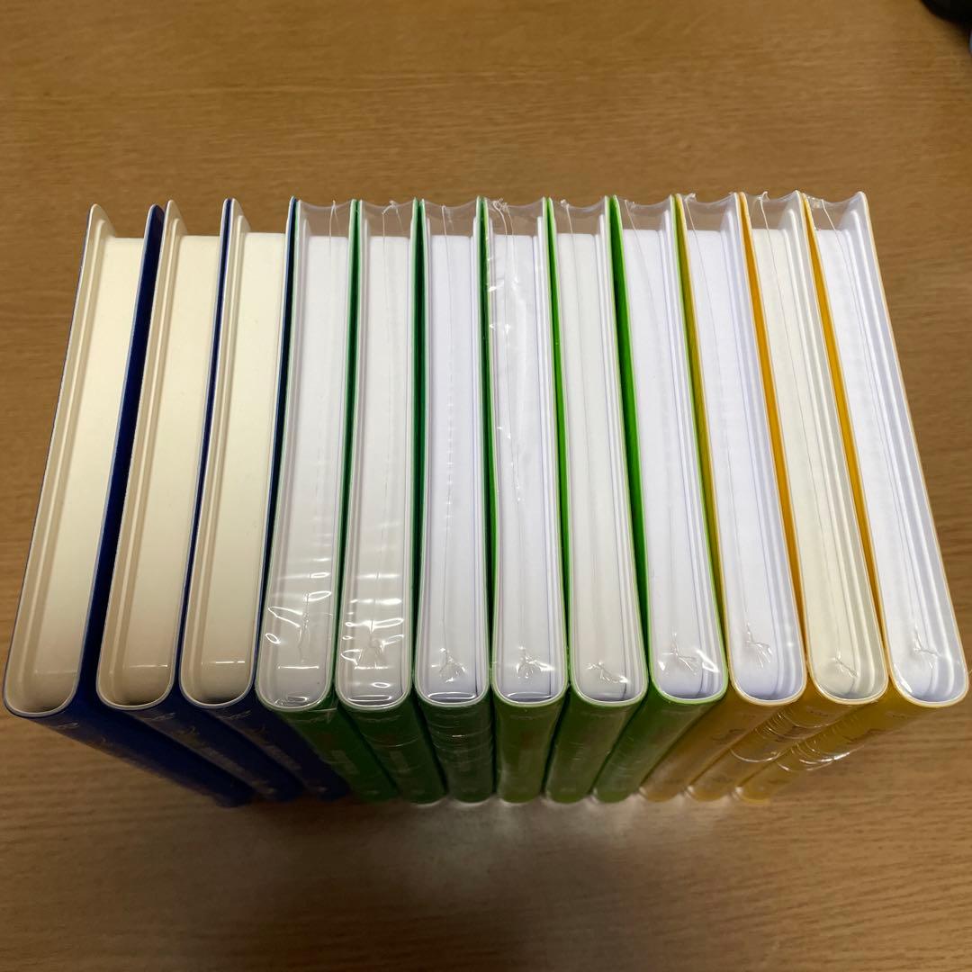 ディズニー英語システム　シングアロング　DVD dwe 旧子役