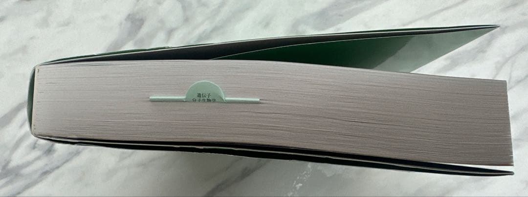 【新品未使用】ヒトの分子遺伝学 第5版