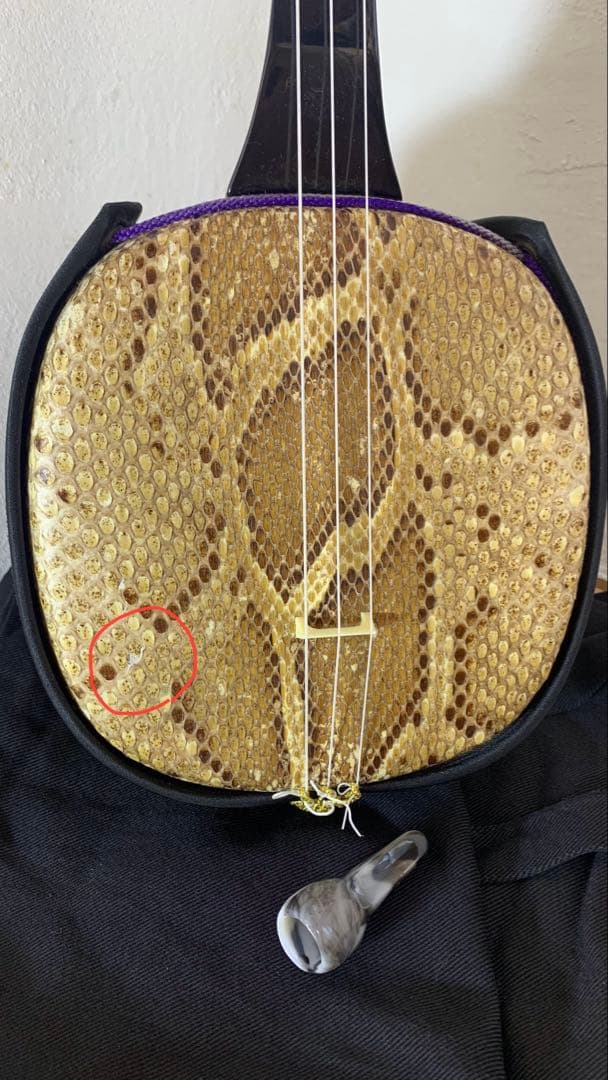 三線 沖縄 両面蛇皮 表側強化二重張り カラクイ1本弦2本新品交換