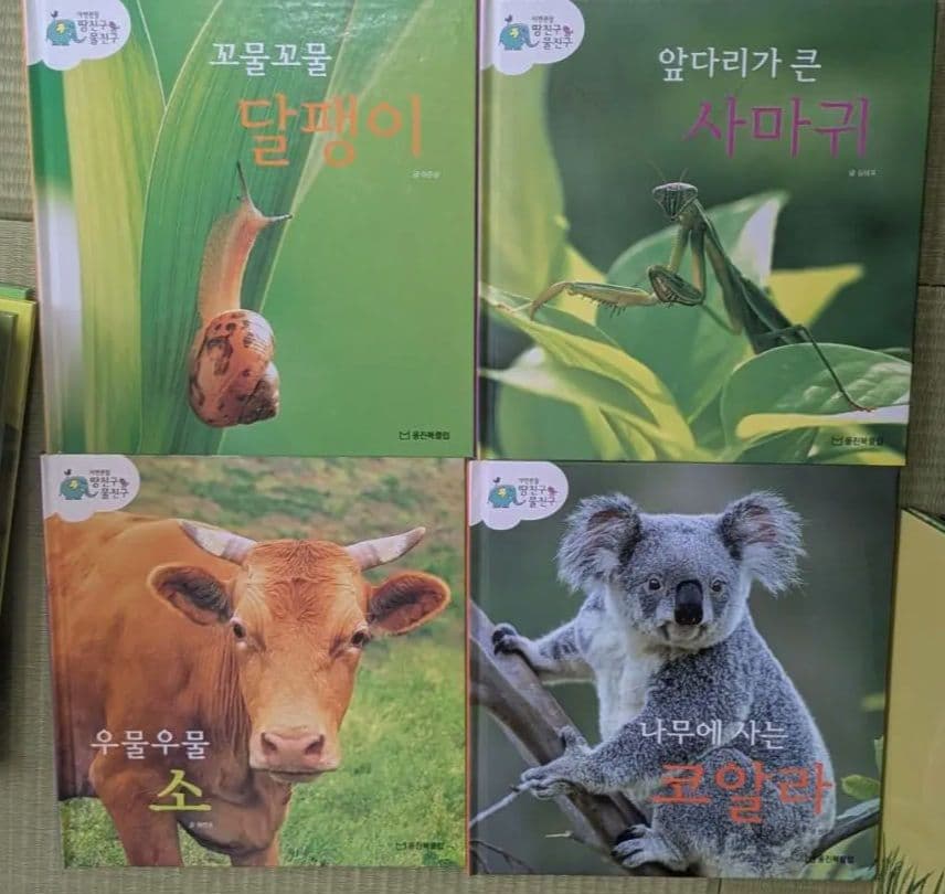 韓国語　幼児向け絵本　自然