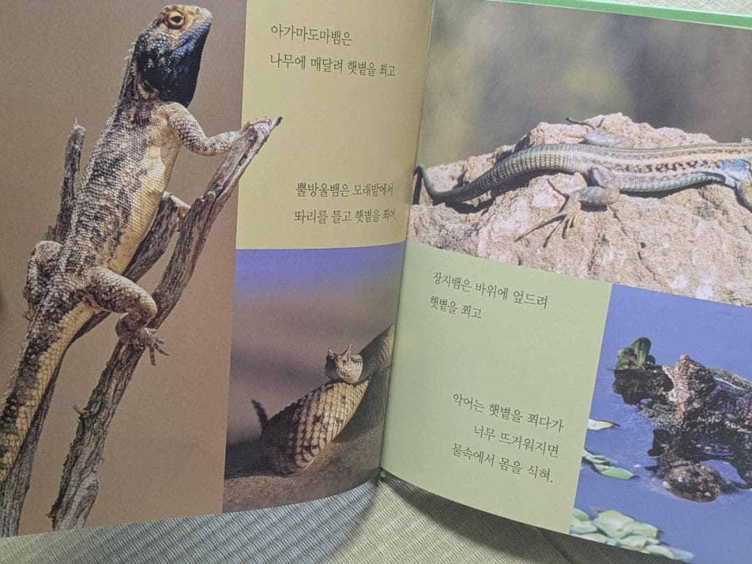 韓国語　幼児向け絵本　自然