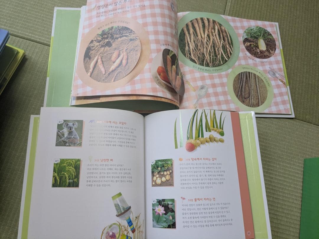 韓国語　幼児向け絵本　自然