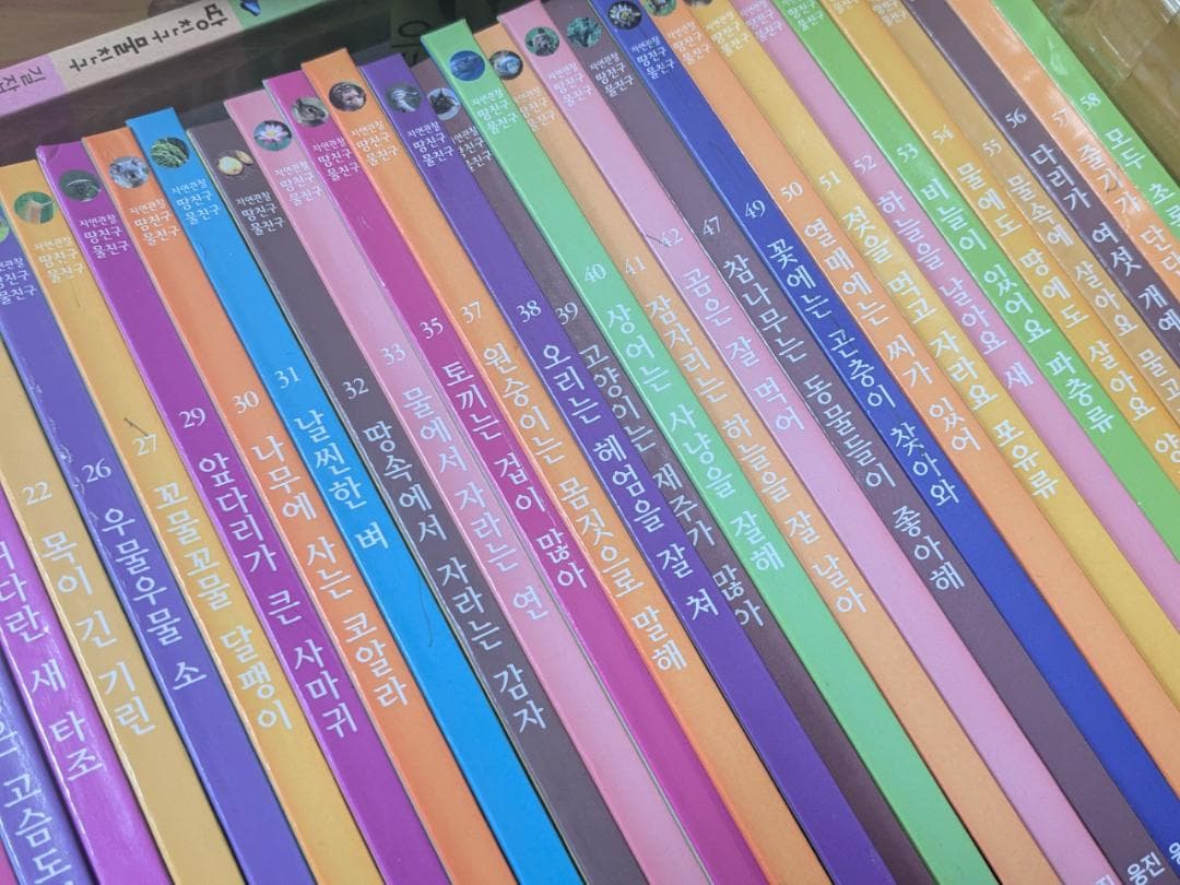 韓国語　幼児向け絵本　自然