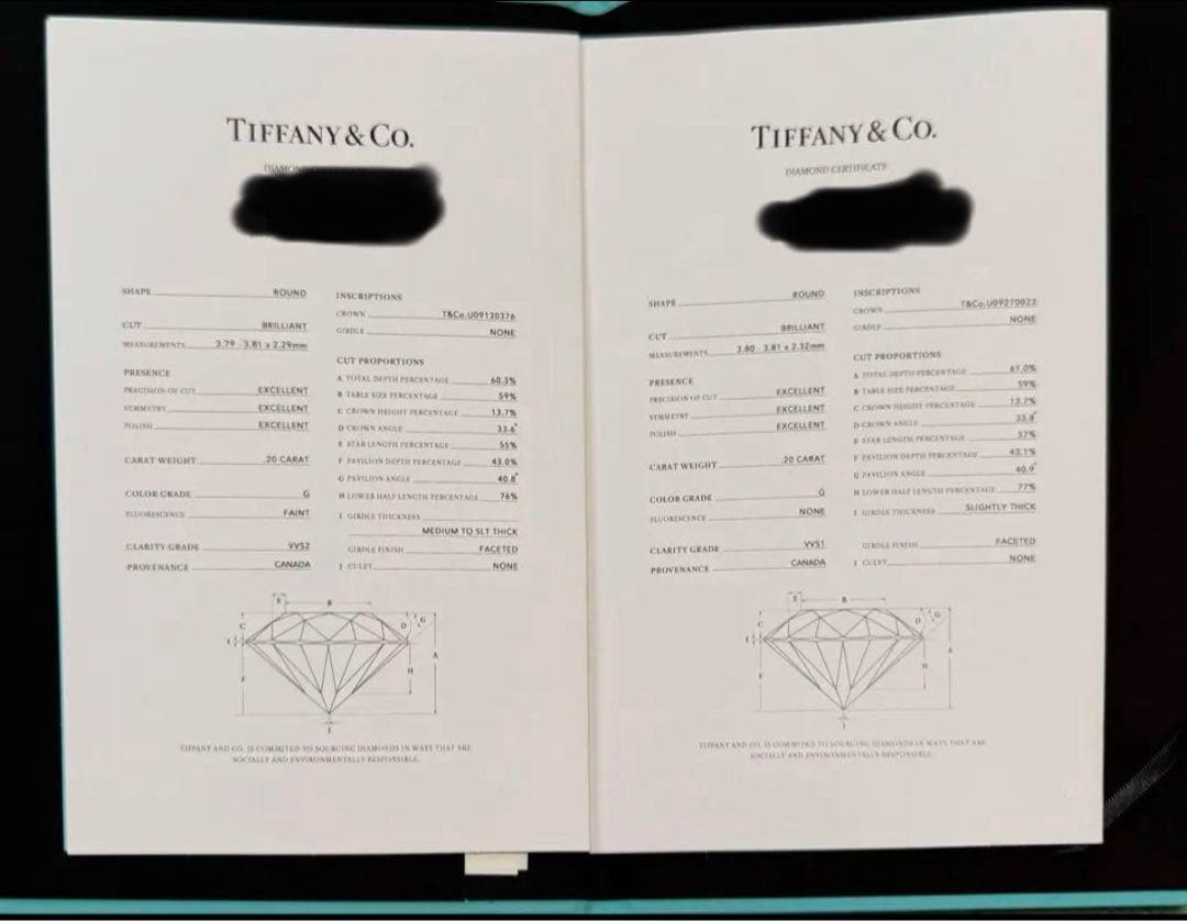 チョコ　2023年購入【鑑定書付き】ティファニー　ソレスト　ピアス