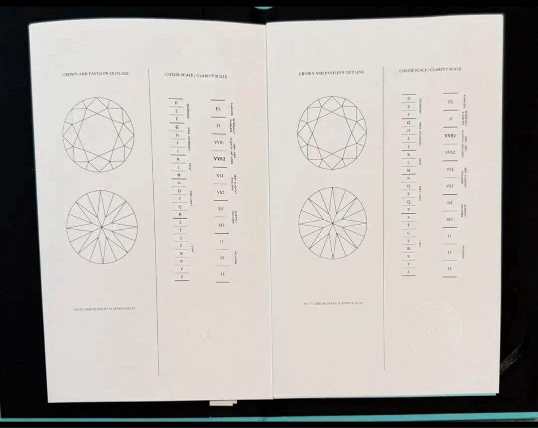 チョコ　2023年購入【鑑定書付き】ティファニー　ソレスト　ピアス