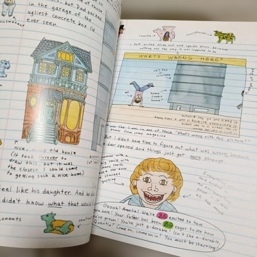 アメリカンガール Amelia's Notebook　2冊