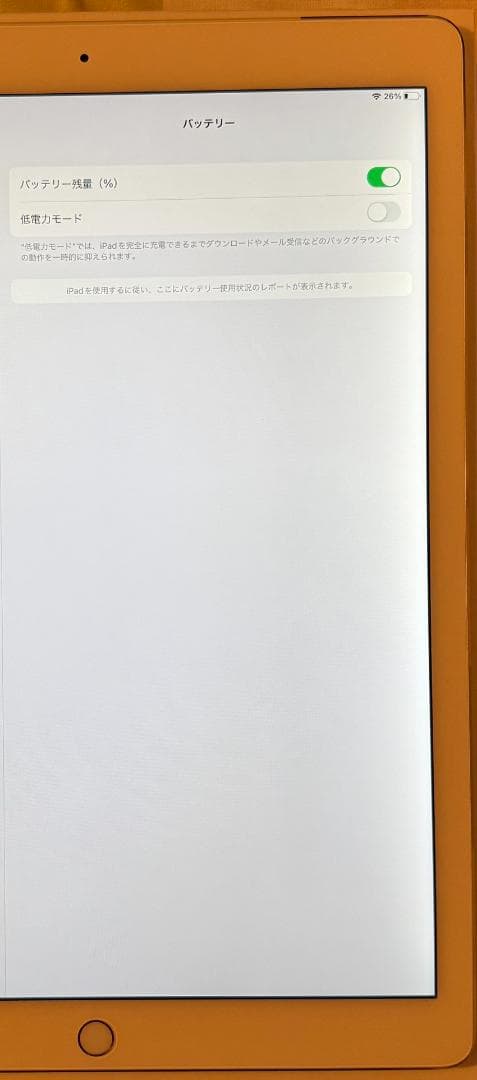 極美品★iPadPro 初代 128GB 12.9 Wi-Fi+Cellular