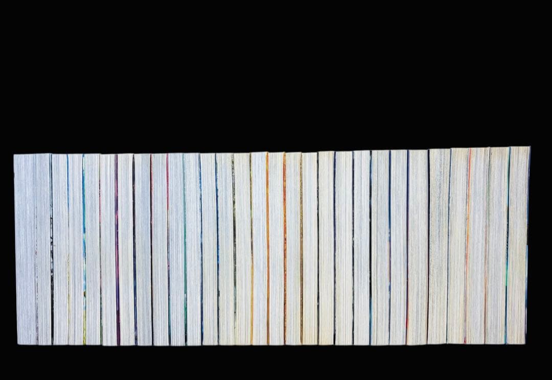 【全巻セット】ヴィンランド・サガ 1-29巻(完結)/幸村誠