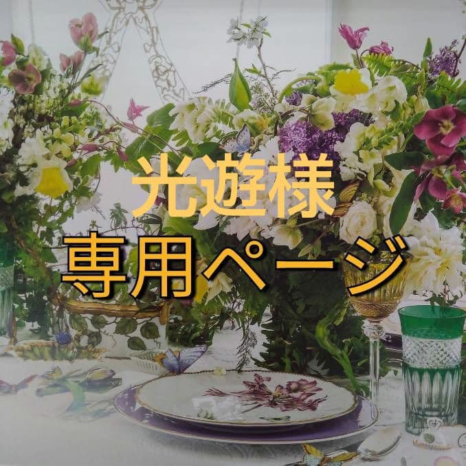 光遊（感謝）/5