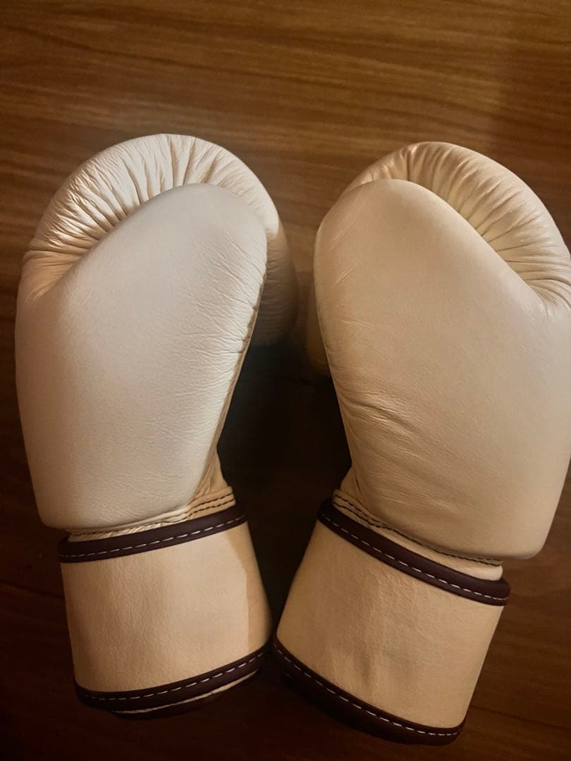 Fairtex フェアテックス グローブ 10oz