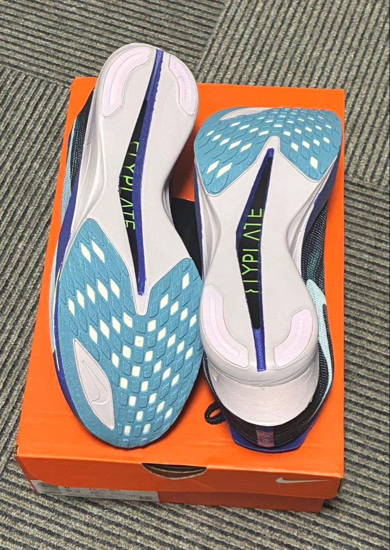 NIKEストリークフライ2 26.0cm 新品