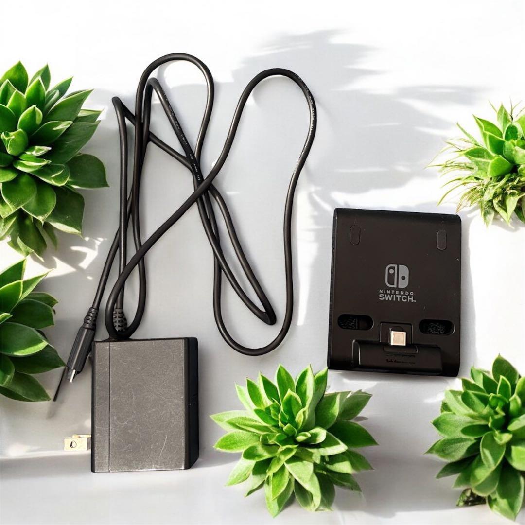 ご依頼主Nintendo Switch Lite グレー 本体 おまけ６点