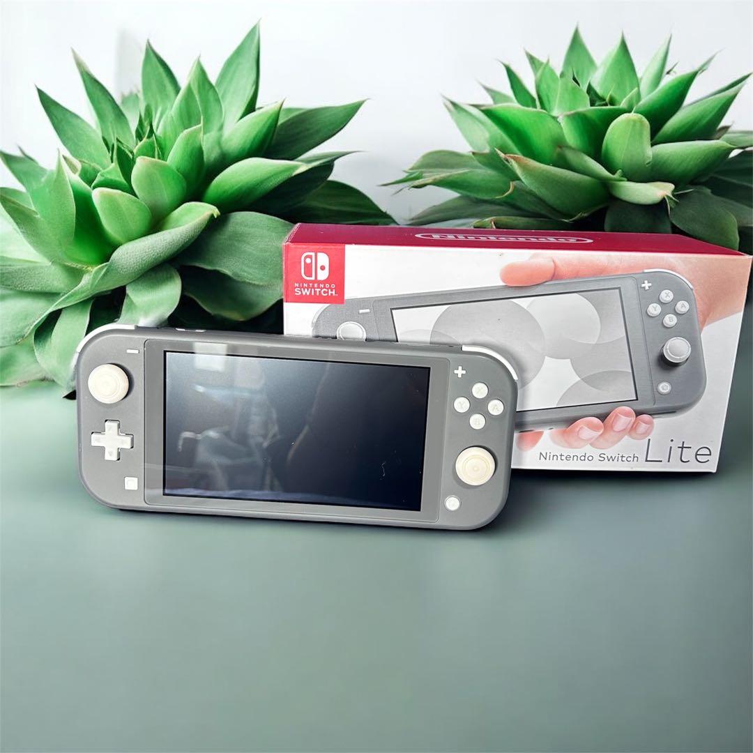 ご依頼主Nintendo Switch Lite グレー 本体 おまけ６点