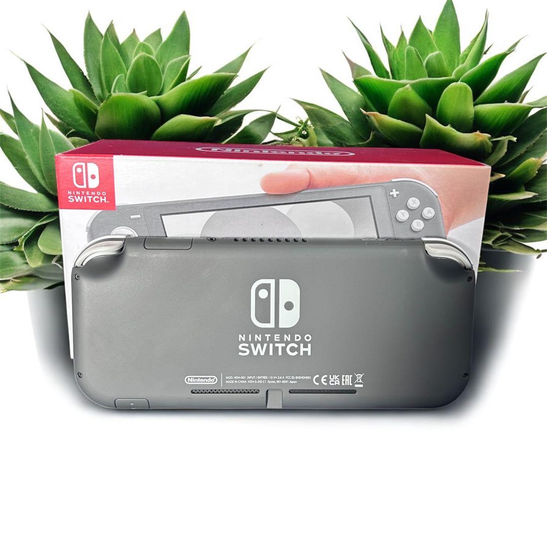 ご依頼主Nintendo Switch Lite グレー 本体 おまけ６点
