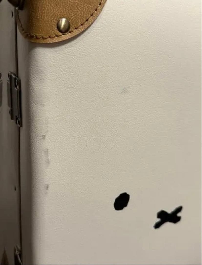 り*ん様 ミッフィー　トランク　キャリーバッグ　キャリーケース　トランクケース