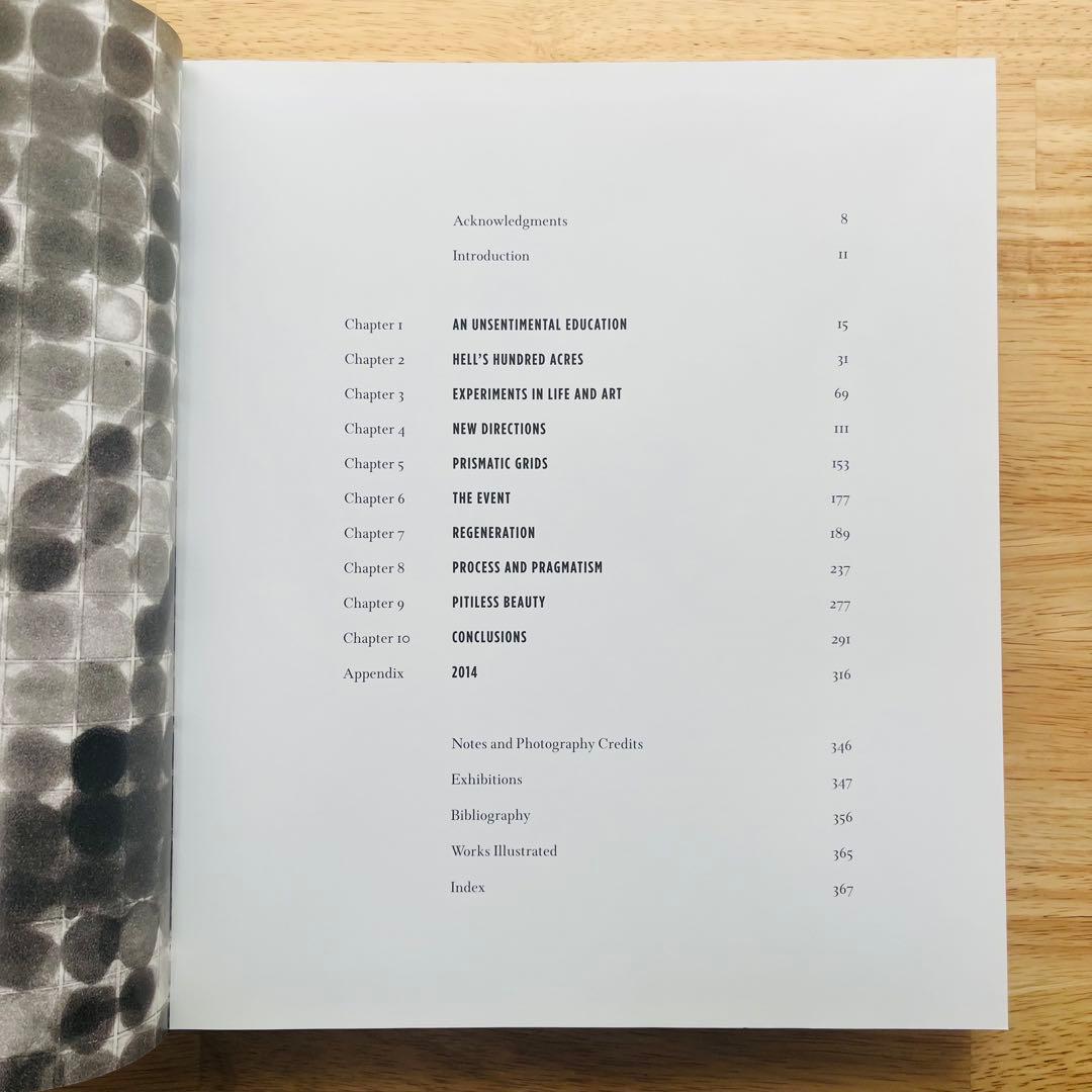 Chuck Close 画集 チャック・クローズ 洋書 ほぼ新品 Art 絵 画