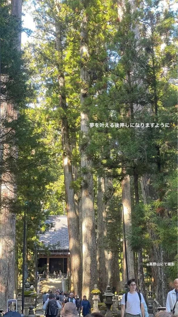 ★お得セット★ 国内旅行業務取扱管理者資格・国内旅程管理主任者資格 セット