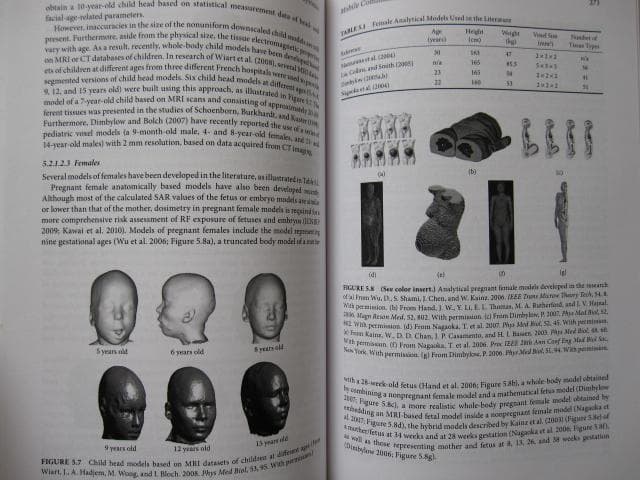 洋書 Electromagnetic Fields in Biological Sys