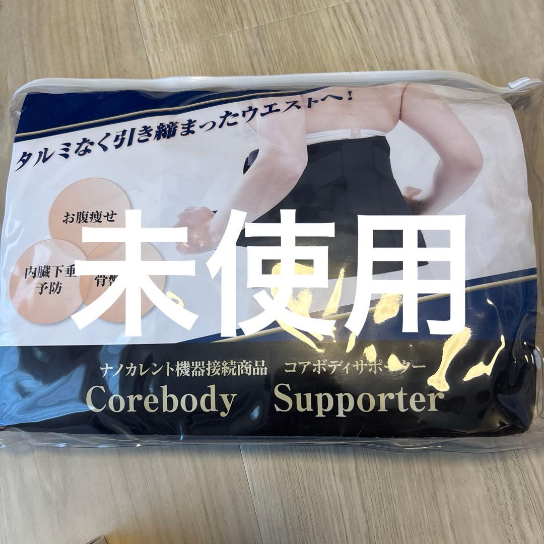 【美品】フレキシア　セルクリスタル +コアボディサポーター