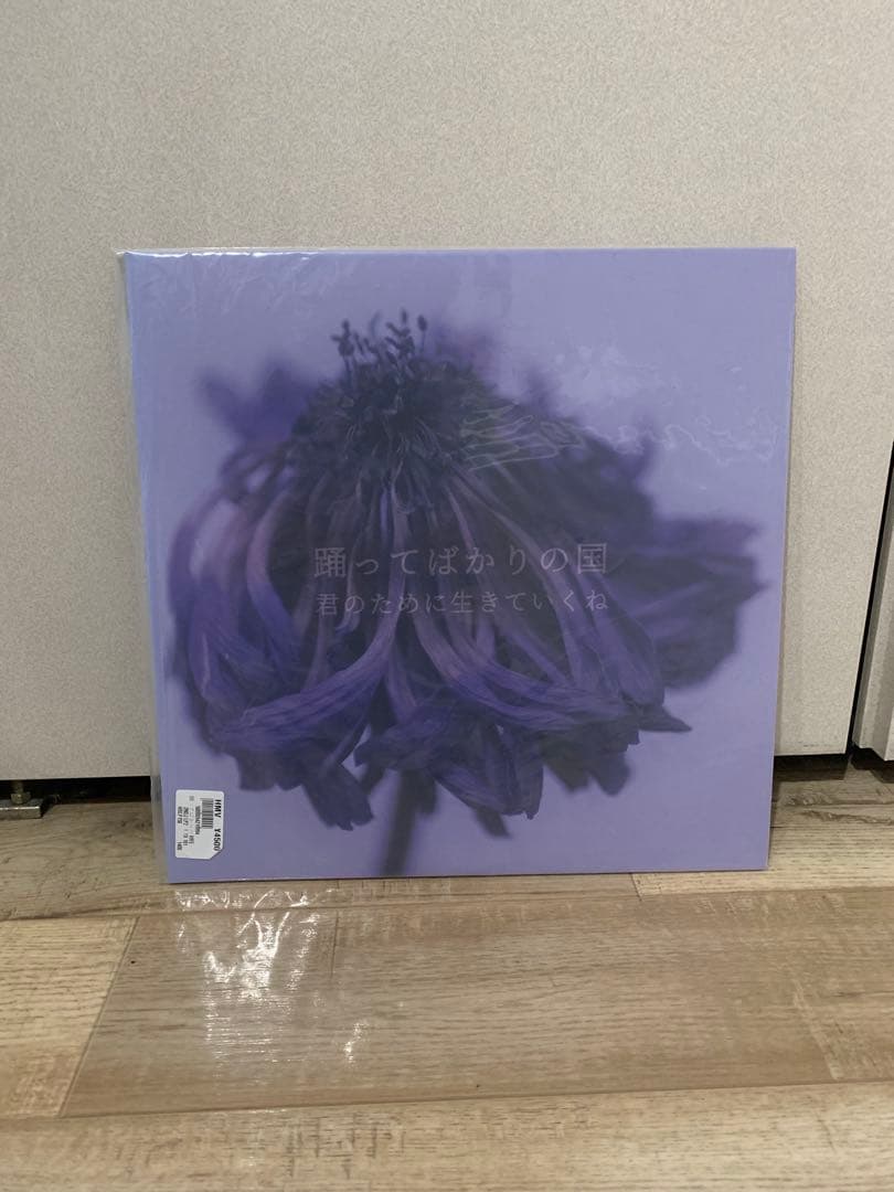 踊ってばかりの国　レコード