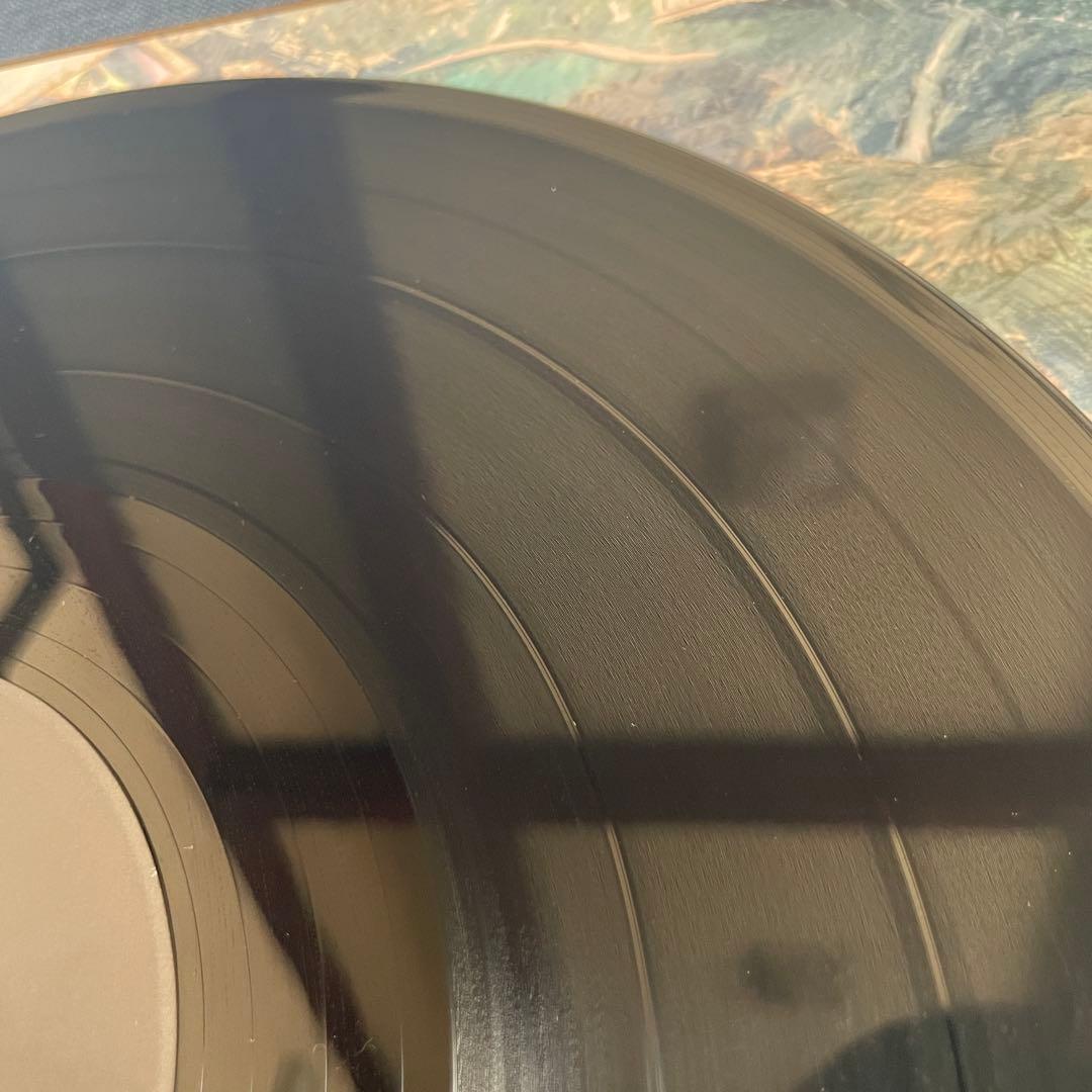 YEN TOWN BAND/diverse journey 2LP(⭐️美品レア)